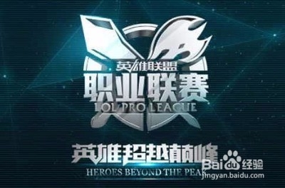 影豹需要转