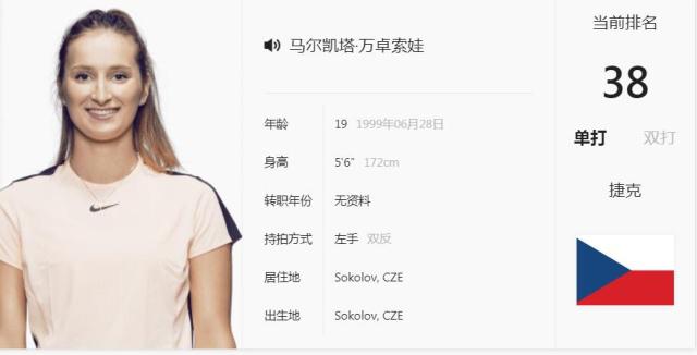 暂停时的 暂停时的