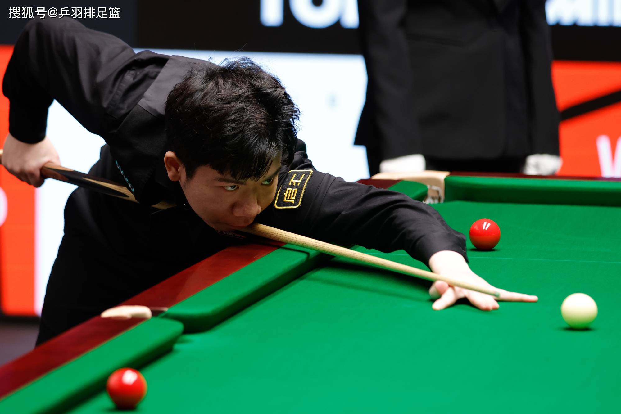 它是一个新 它是一个新