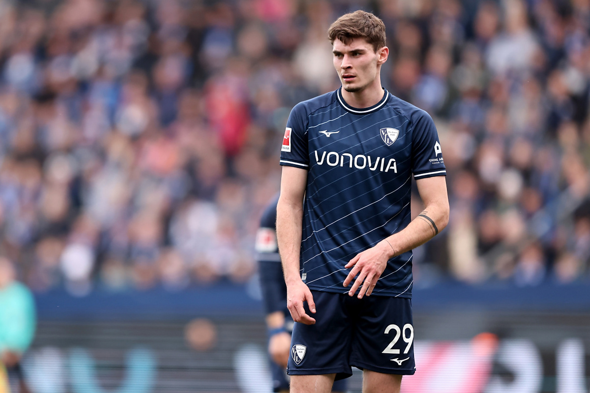 王楚钦或战 王楚钦或战